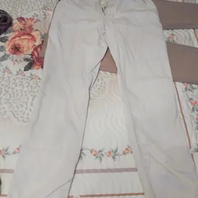 De Facto jalbar jynsy