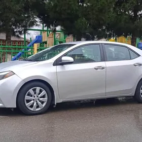 Toyota Corolla 2014