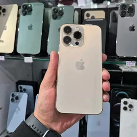 iPhone 13 Pro Max️