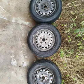 15 lik disga pakryshga