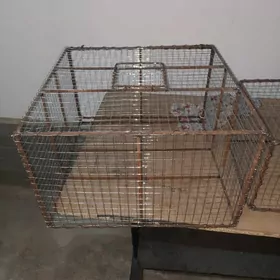 кептери жуйже сетка