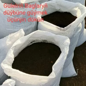 cuyredilen tebigy dokun