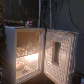 инкубатор.150юмуртга.сыгяр