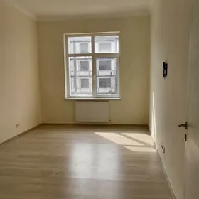 Arenda jay Gurtly Elitka