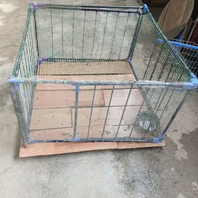 Ketek towsan towuk ordek