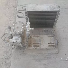 морозилька