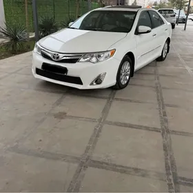 Toyota Camry 2014