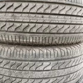 225 55 17 pakryska 25