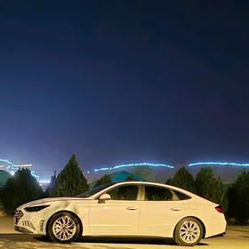 waditel ish gözleýän