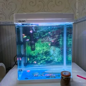 Akwaryum Аквариум