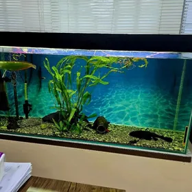  АКВАРИУМ +РЫБКИ +ОФОРМЛЕНИЕ