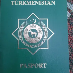 Hojadurdyýew Akmyrat