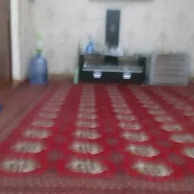 Haly 4metir uzunlyk 3met ini