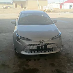Toyota Corolla 2022
