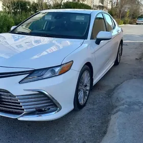 Toyota Camry 2020