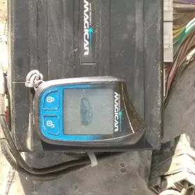 Машинын пулды