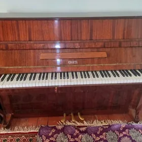 Pionina ( СЮИТА )