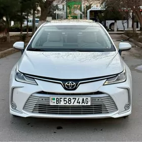 Toyota Corolla 2020