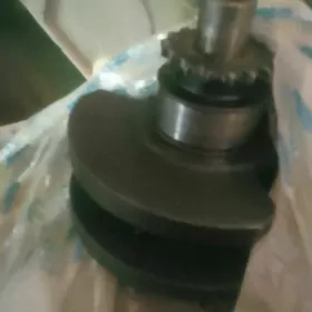 Reno 19   1.6 matory