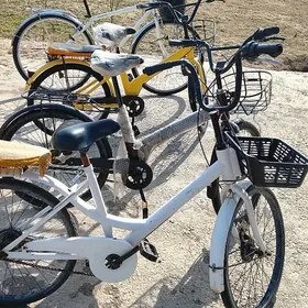 tigirler welsepitler