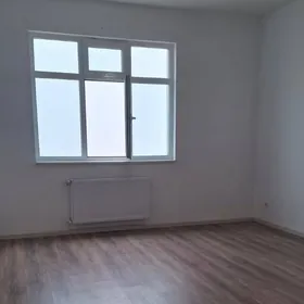 mir 8 jay 2 komnat polelitka