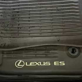 16-17 es rzin kowrik