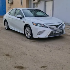 Toyota Camry 2020