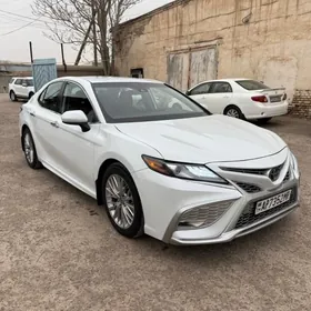 Toyota Camry 2020