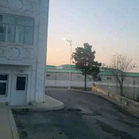 Jaÿ Anewde abmen masyn bn