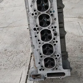 galowka 2.5  1 vanus