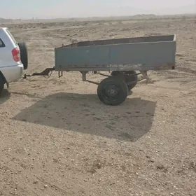 Prisep Polprisep 2019