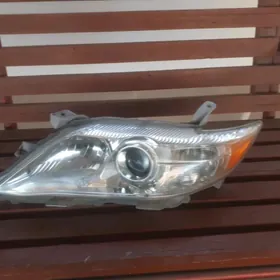 Fara oküz 2009-2011