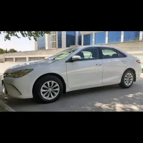 Waditelçylyk iş Gözleýän