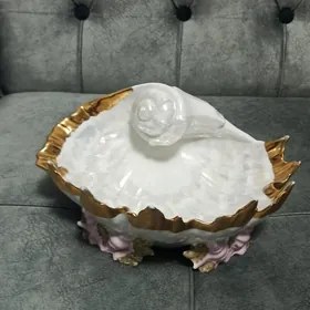 Ракушка фарфор