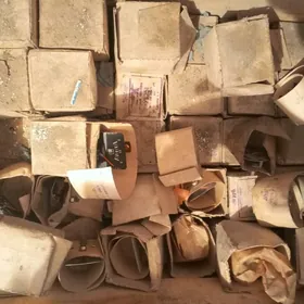 ziliñ binze daçjiklary