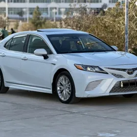 Toyota Camry 2020
