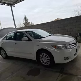 Toyota Camry 2010