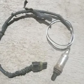 Opel katelzatyr dajik opel 2li