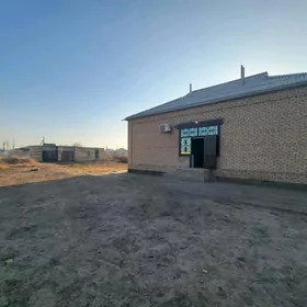  Satlyk Howly eýesinden 