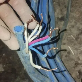 tok kabel mis 7 zila