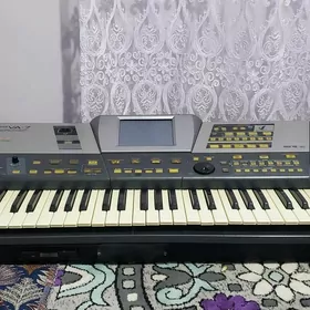 ROLAND VA7