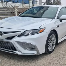 Toyota Camry 2020