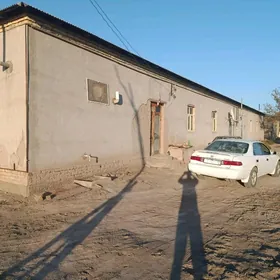 satlik jay tut sabhozda