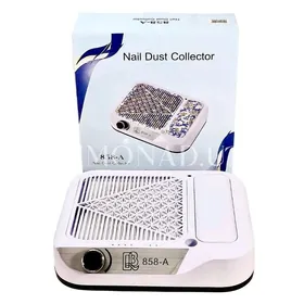 plesos salon ucin enjamlar