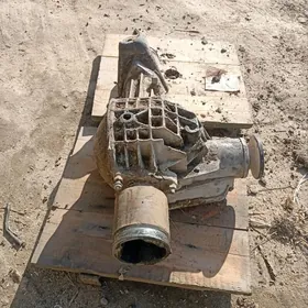 Lada Nivan̈ peredogy