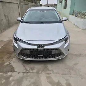Toyota Corolla 2021