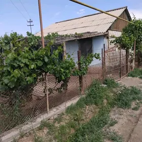 берзен канал дача