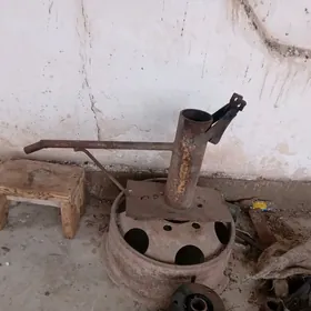 Suw cykaryan Kacalka