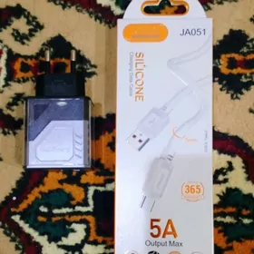 Zarýatnik taýipsiý