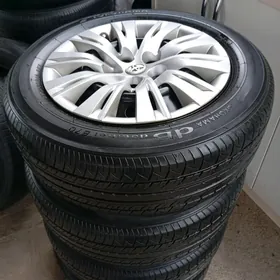 16 lik diska pakriska kalpak